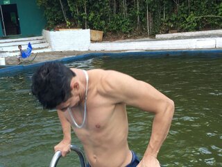 NovinhoBraz lj